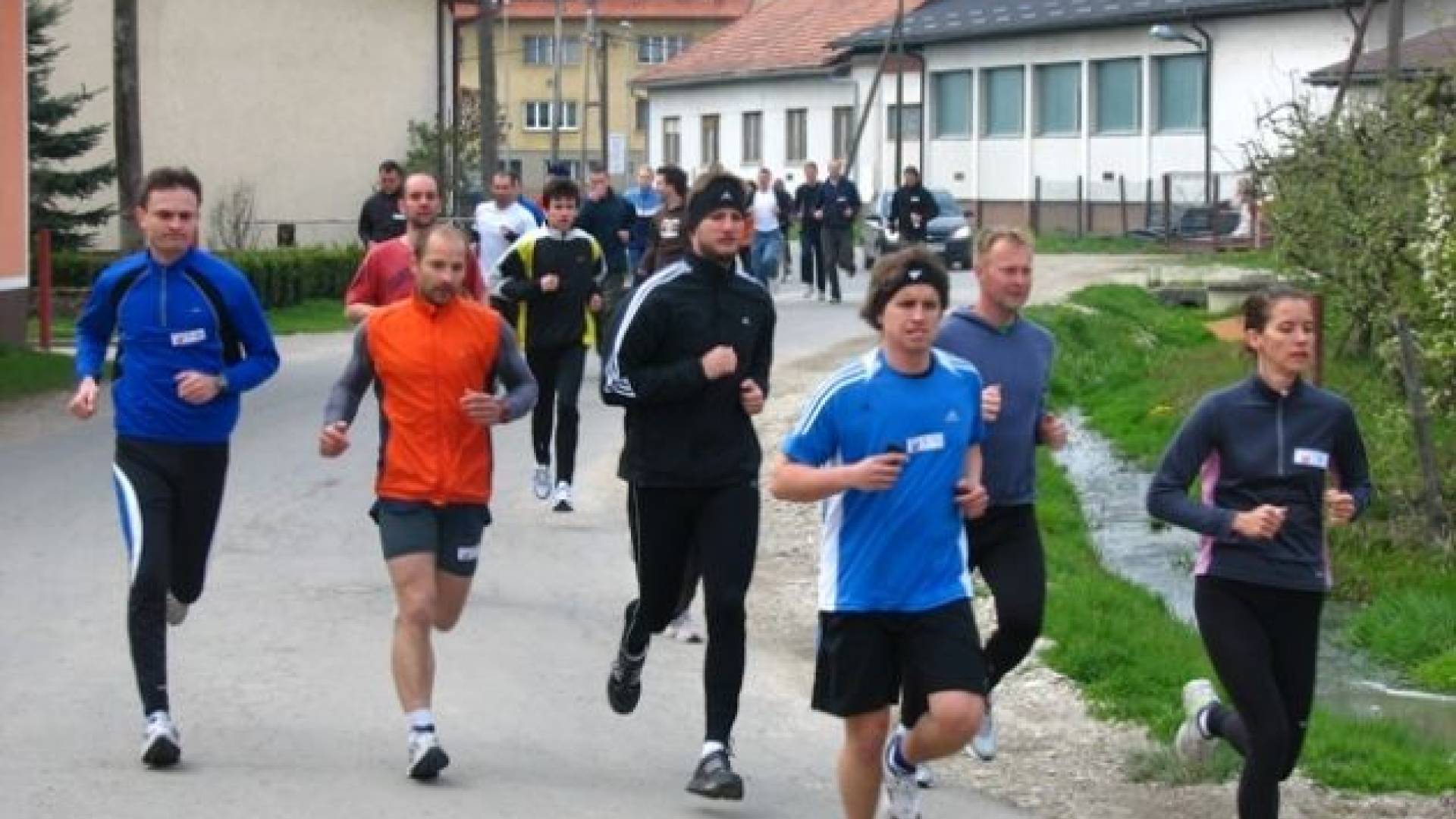 Tek močvirski tulipan_1.JPG