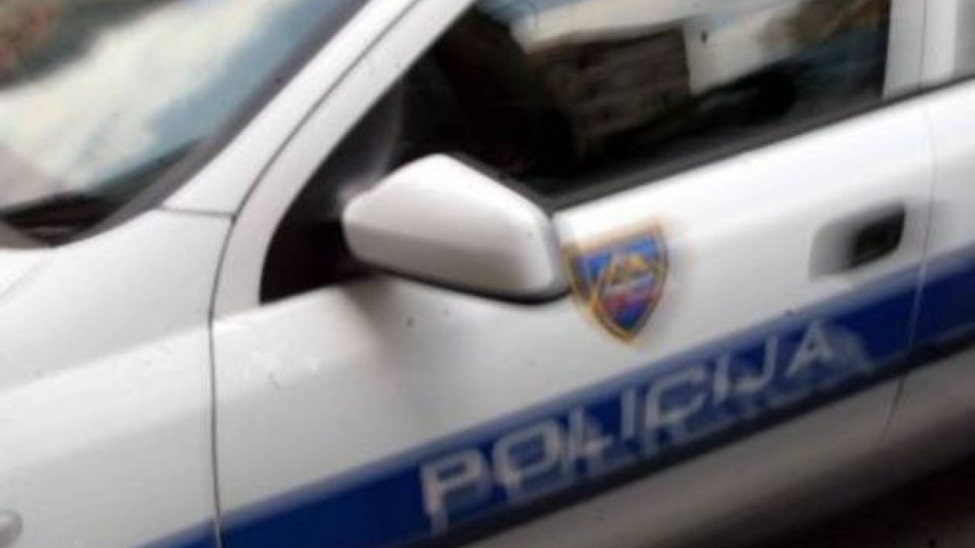 policijski avto2.jpg