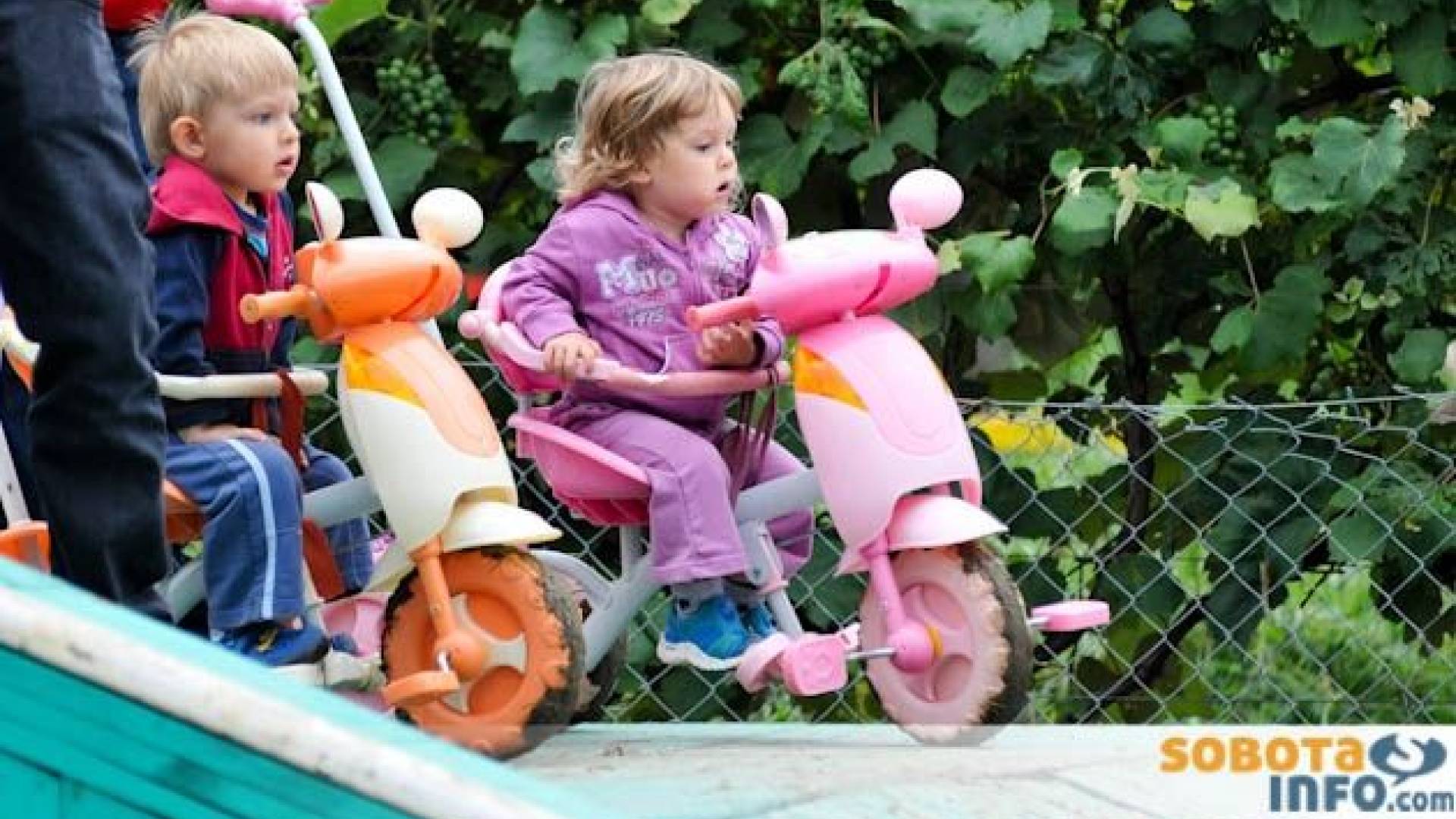 fcelinabilica (23 of 51).jpg