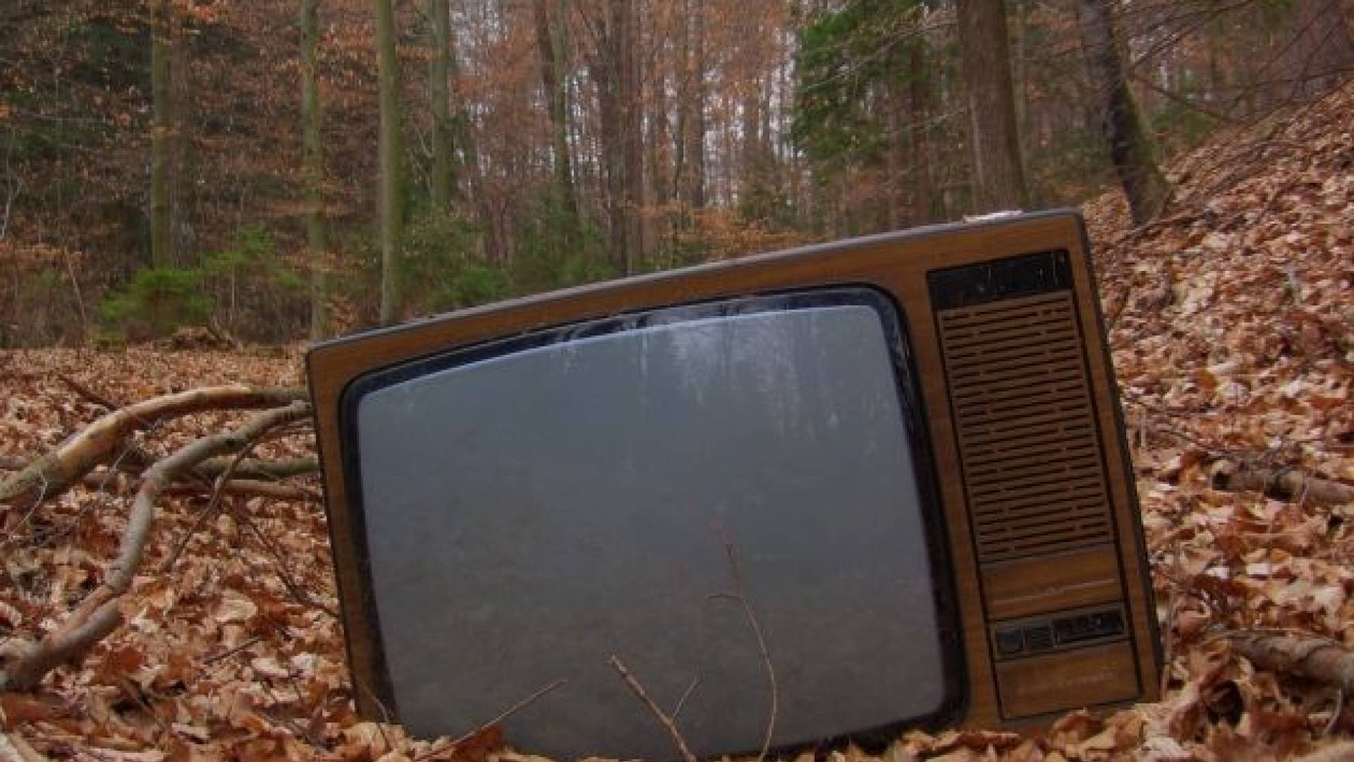 Tudi starejši televizor lahko gre z vami v dobo digitalne TV.