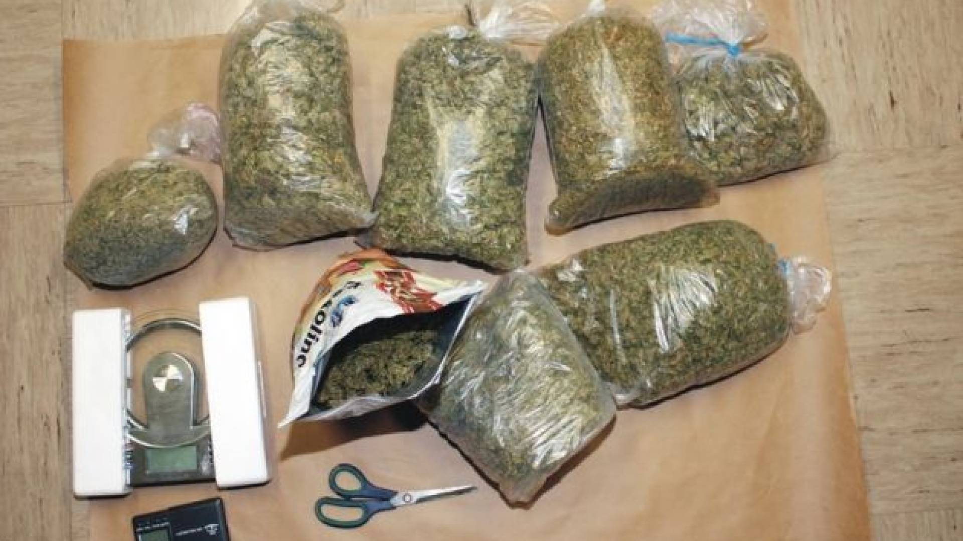 0912-82-10 - Zasežena konoplja 2.jpg