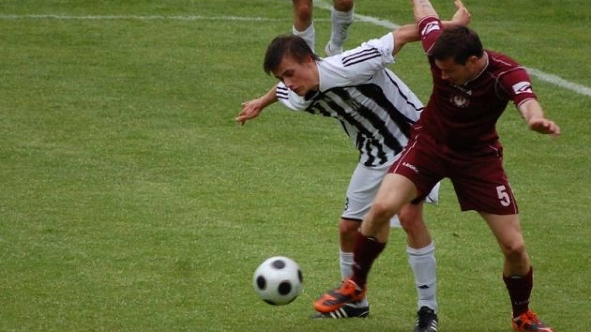 Foto: arhiv Sobotainfo.com