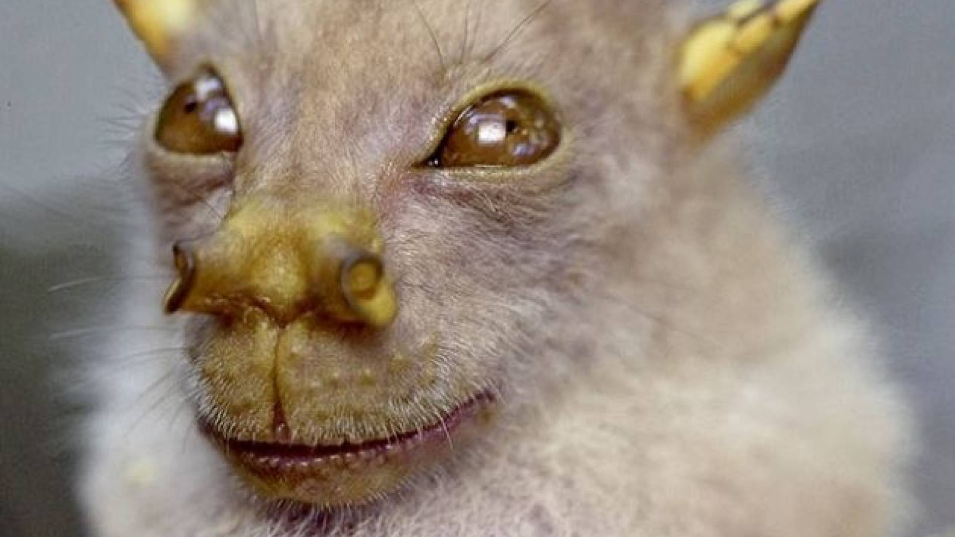 Screen shot 2011-01-02 at 11.13.25 AM.jpg