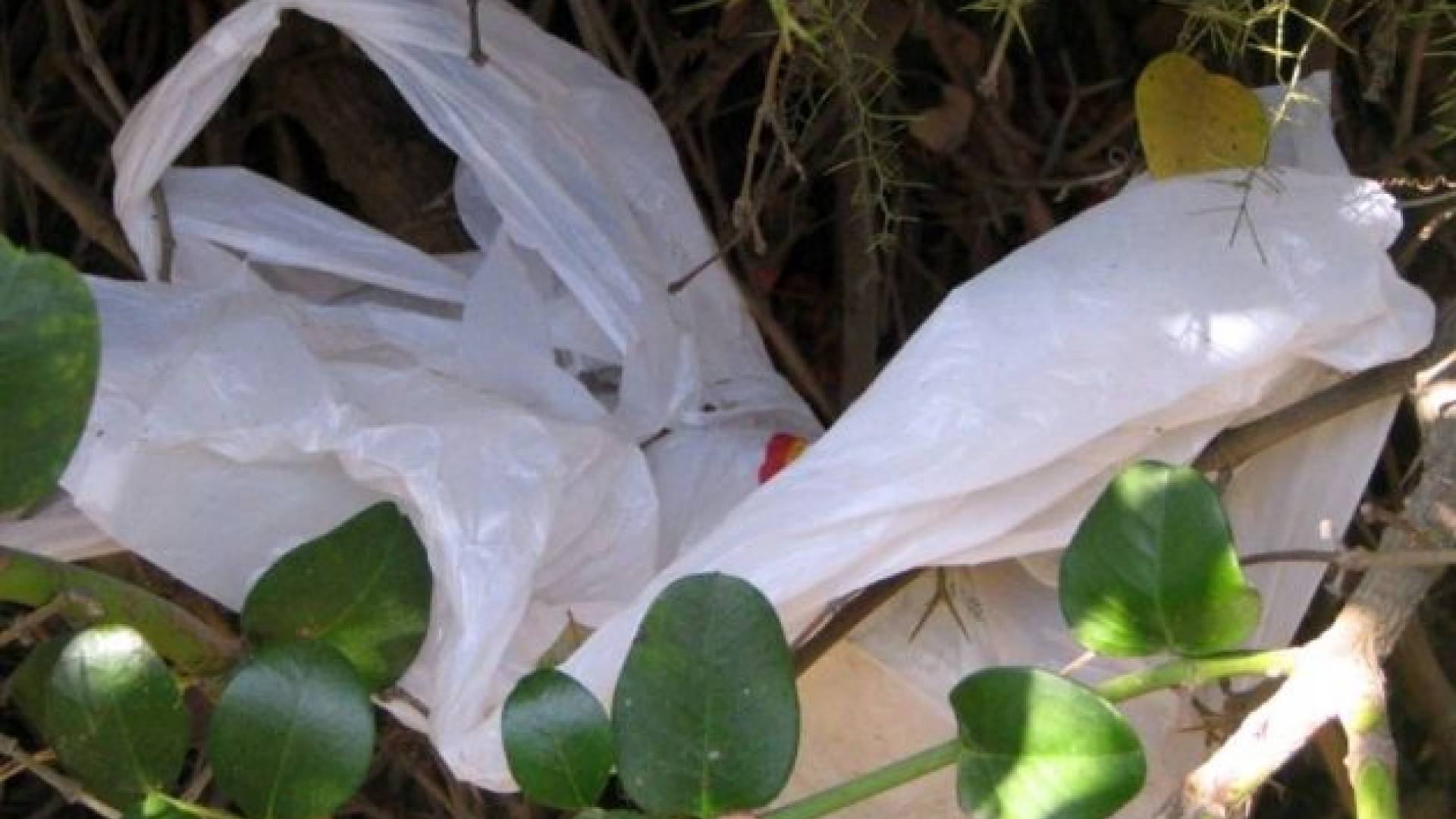 Plastične vrečke.jpg