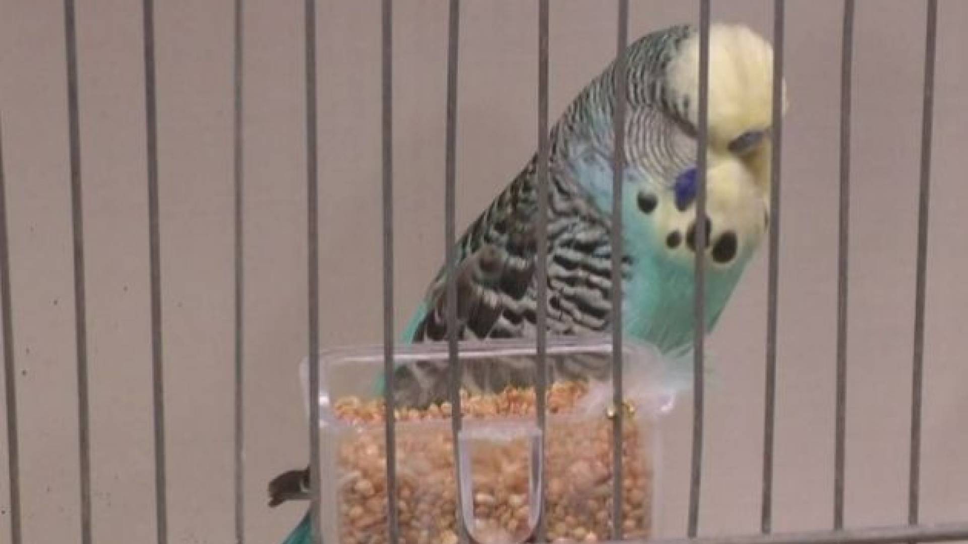 Screen shot 2011-01-08 at 10.14.48 AM.jpg