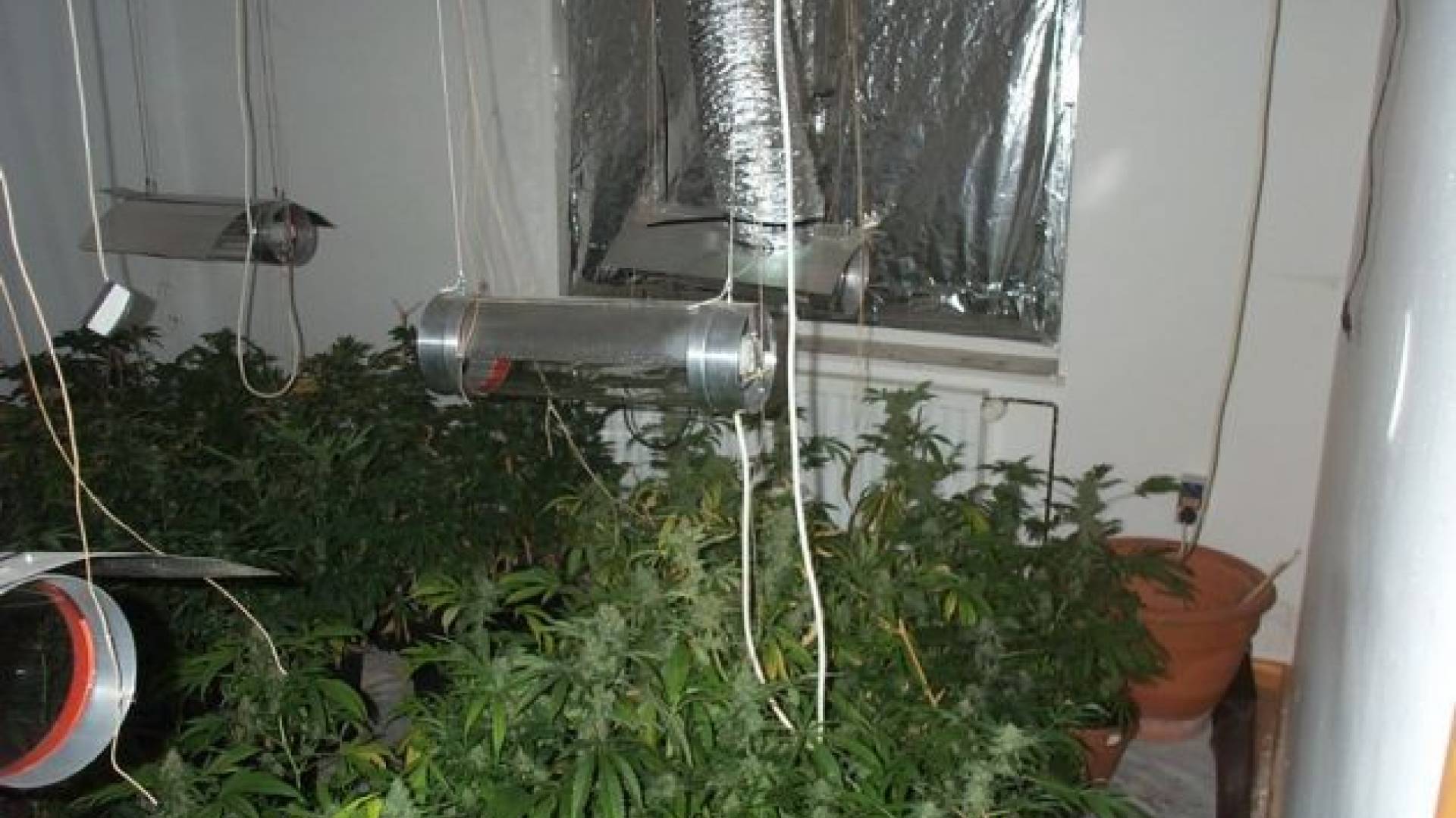 Zasežena prepovedana droga 2.jpg