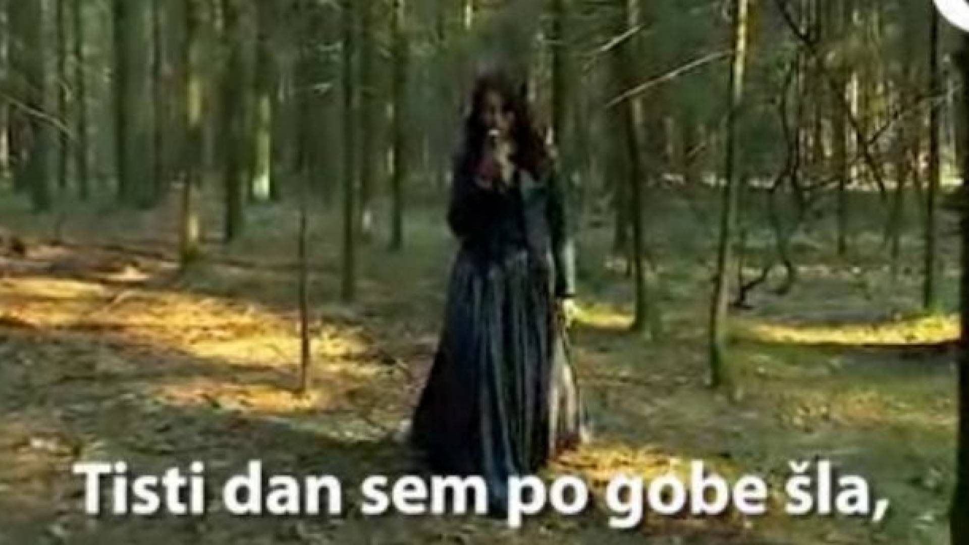 Parodija na videospot.