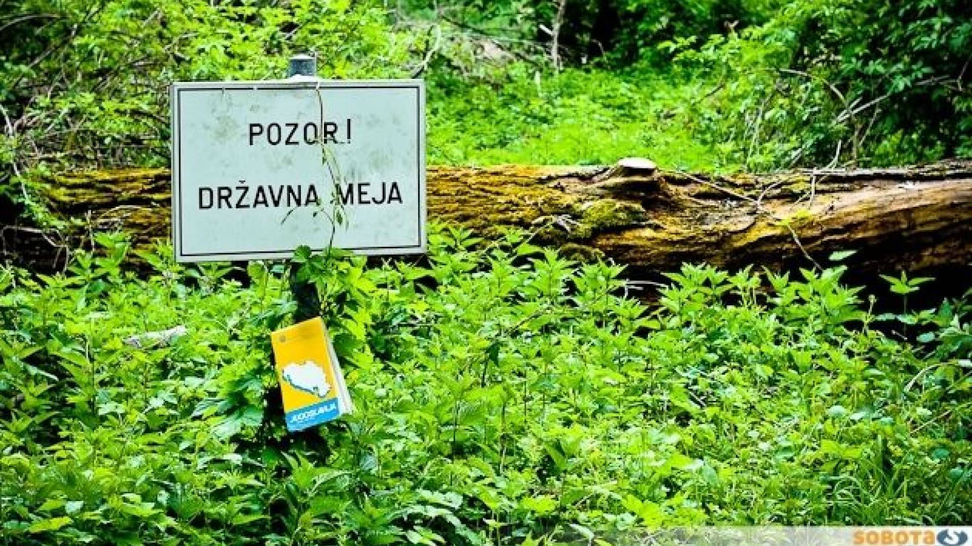 foto: Tadej Kirinčič