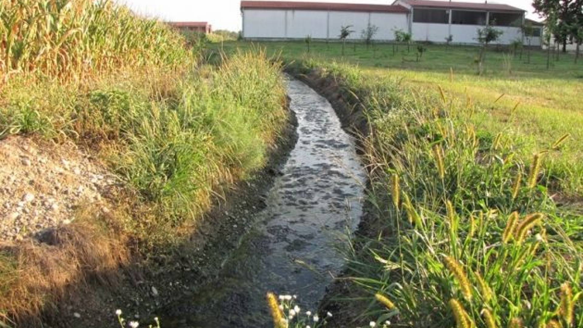 IMG_0545 [800x600].jpg