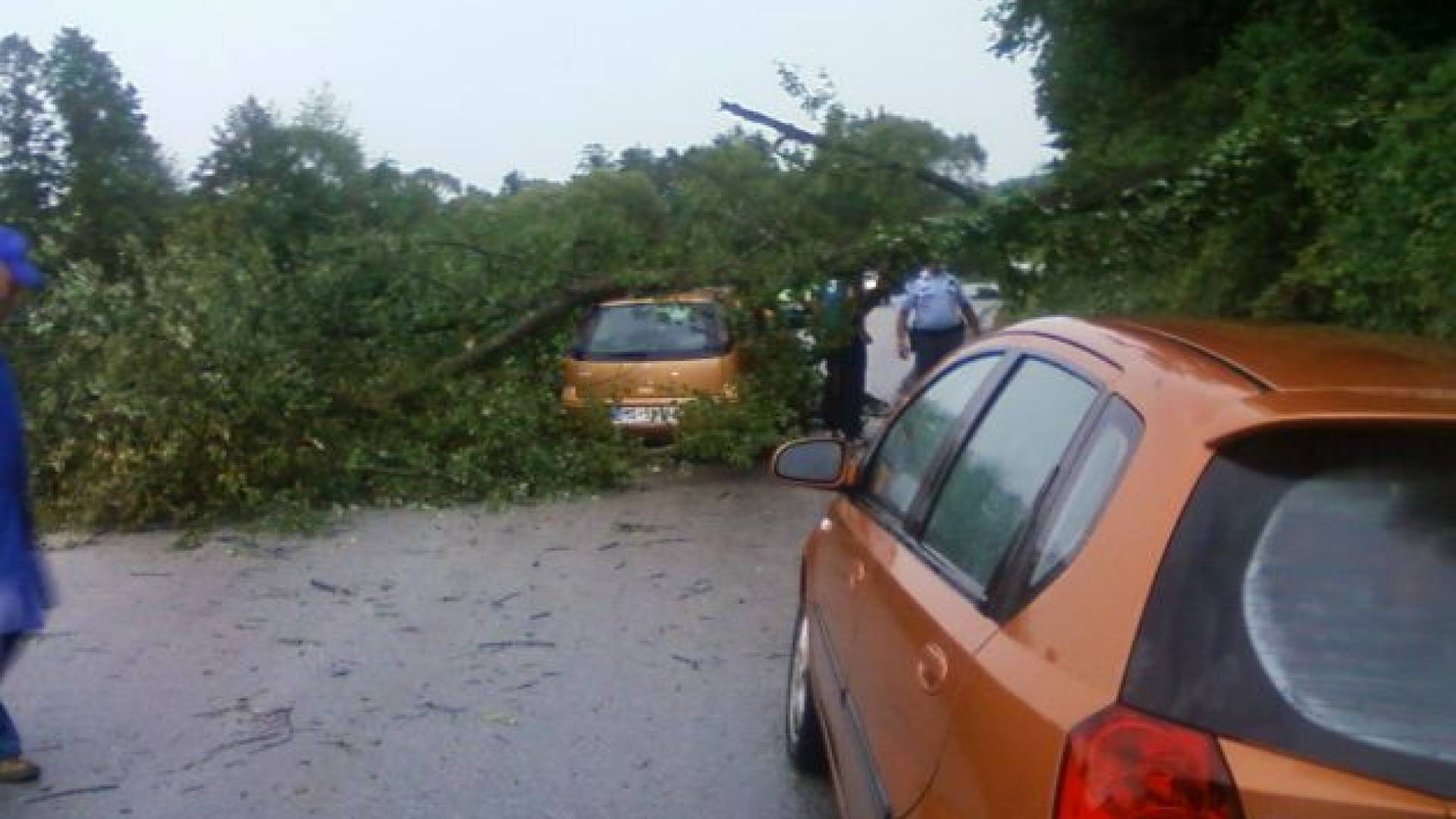 Uporabnica Sandra je zapisala: Takole pa je bilo videti na relaciji Bodonci - Poznanovci 