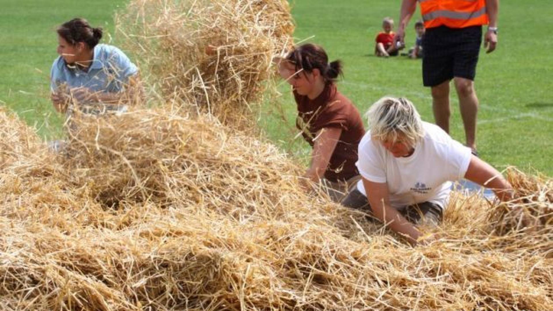 IMG_0130 [800x600].jpg