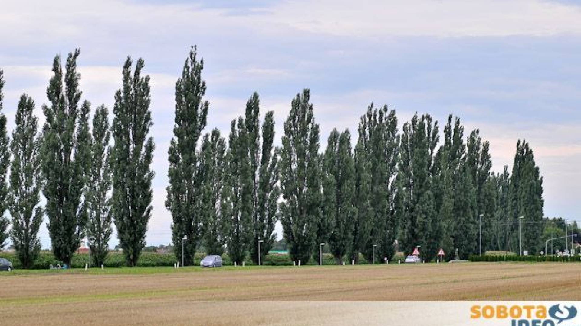 Topolov drevored je registriran kot nepremična kulturna dediščina Murske Sobote. 