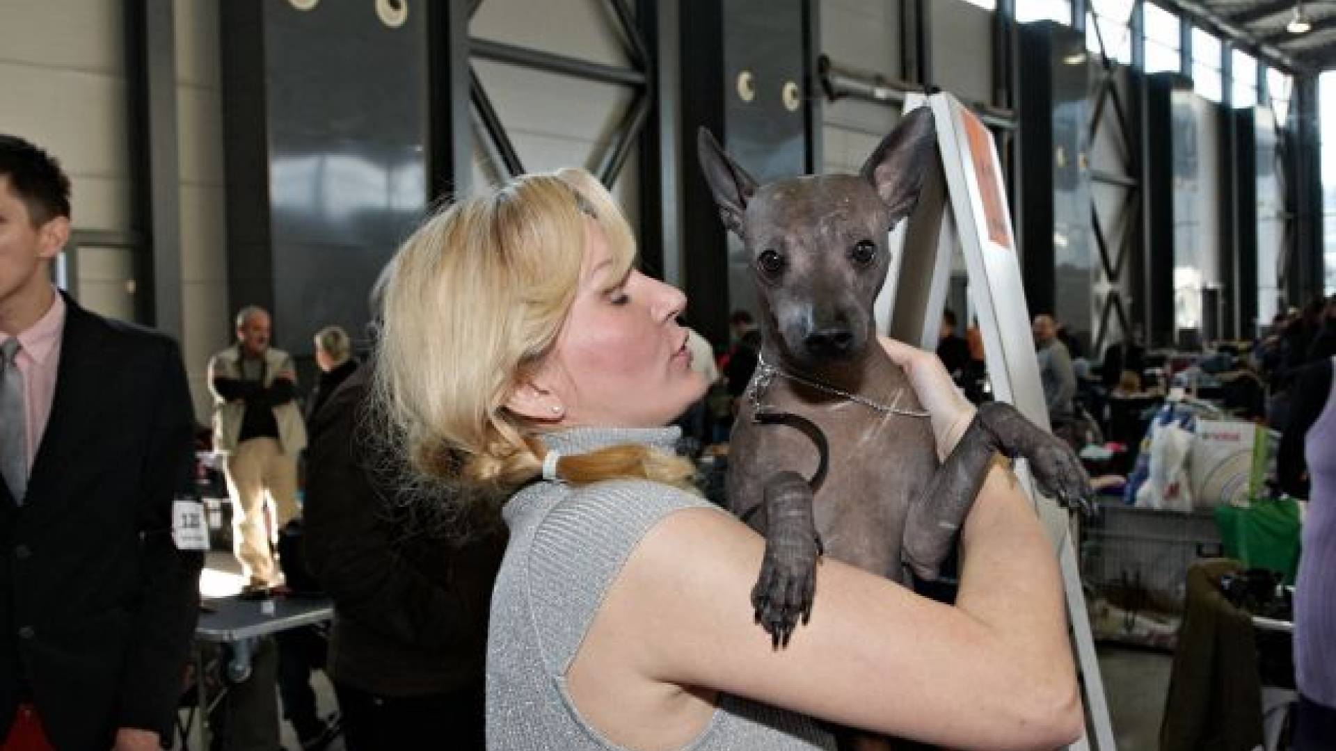 Cacip Ljubljana 2012, foto: Yenepu group