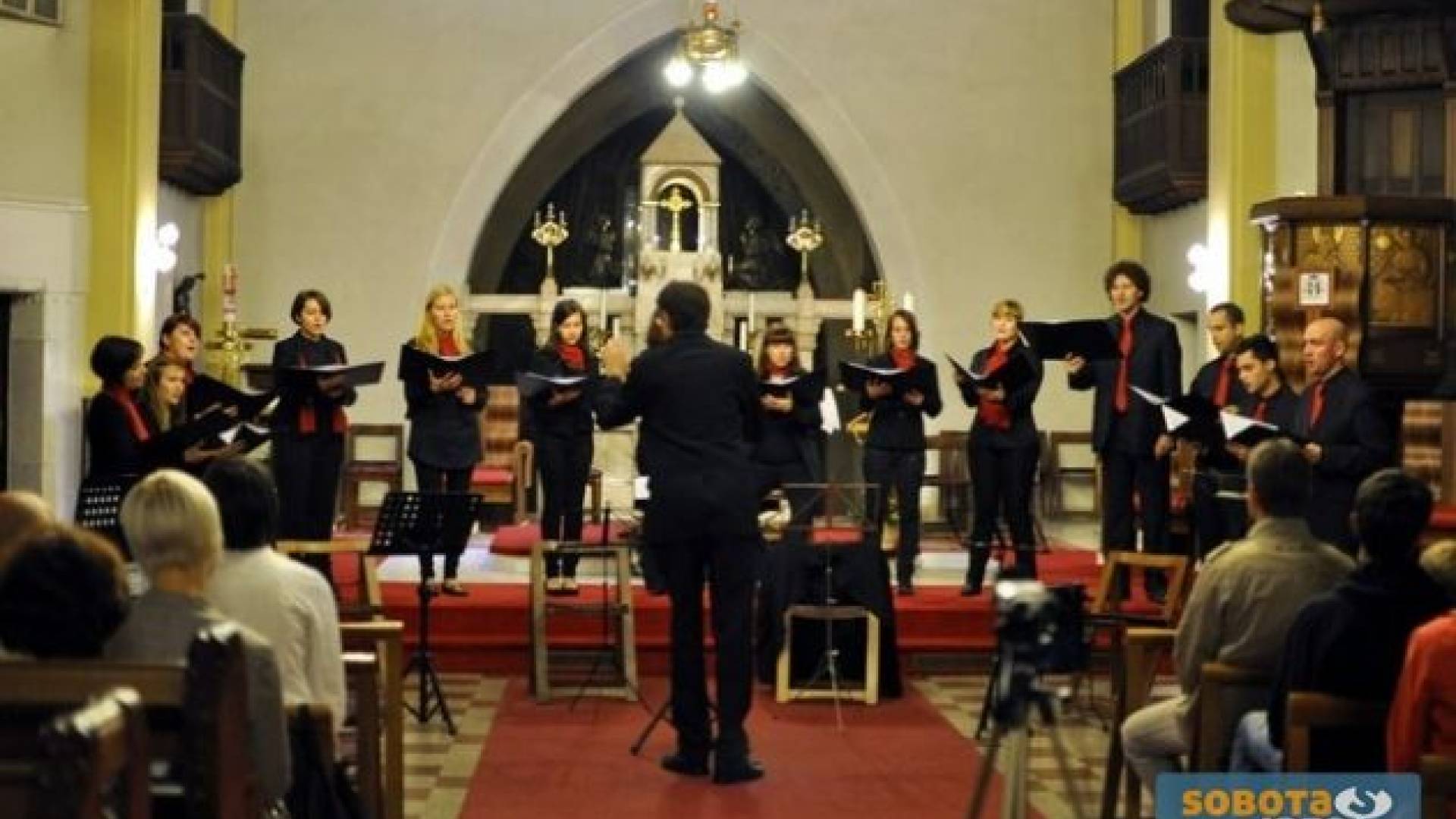 _DSC0089 (Kopiraj)1.JPG