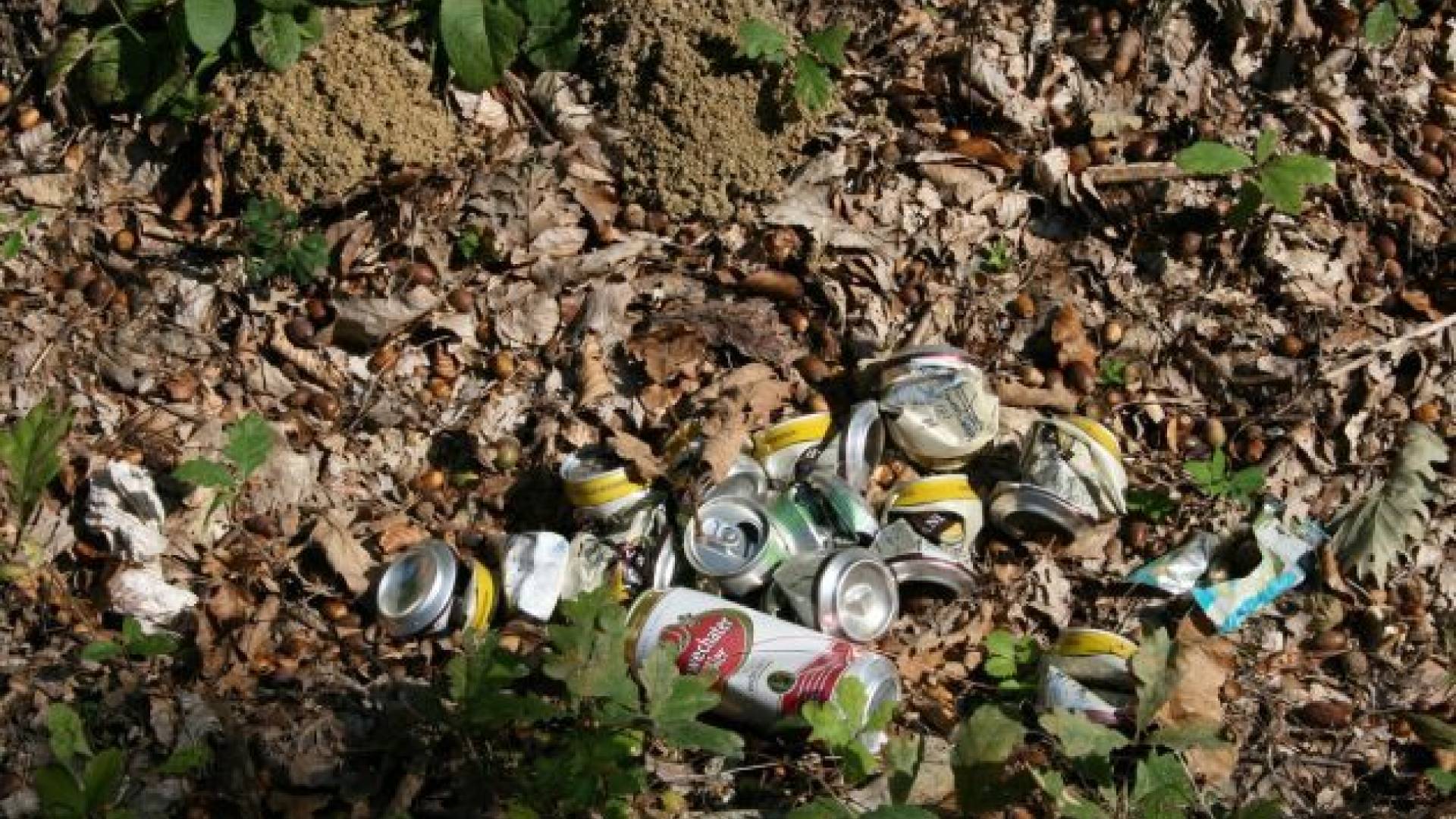 Smeti v jarkih na slovensko-avstrijski meji lansko poletje.