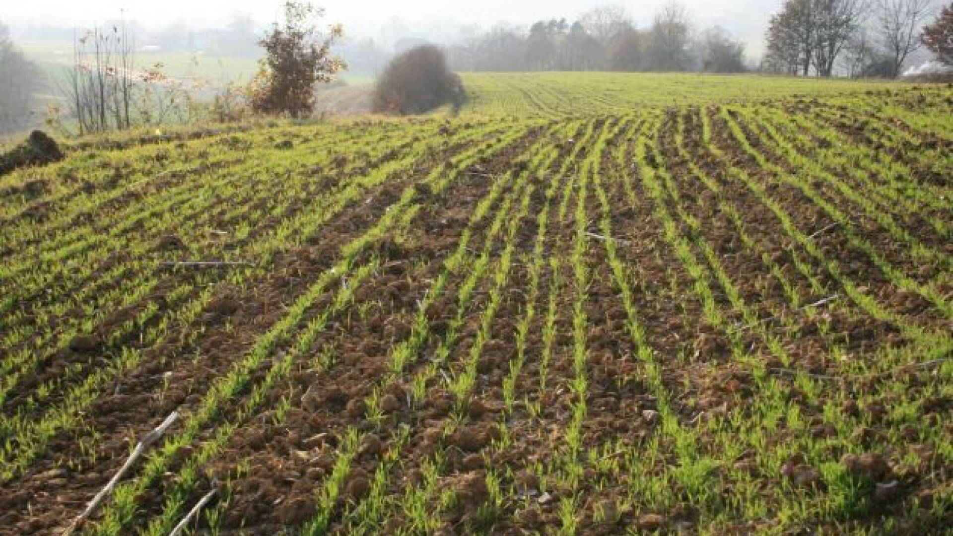 Letošnji fotografski natečaj KPG zajema odnos med človekom in naravo.
