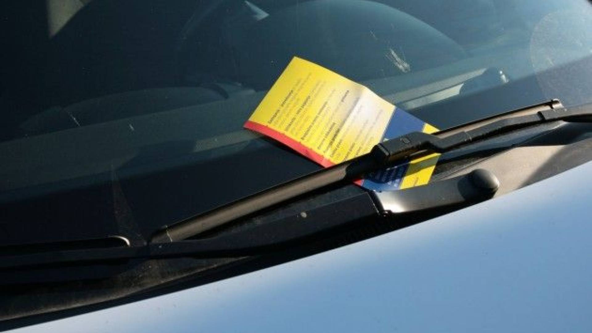 IMG_1278 (Kopiraj).JPG