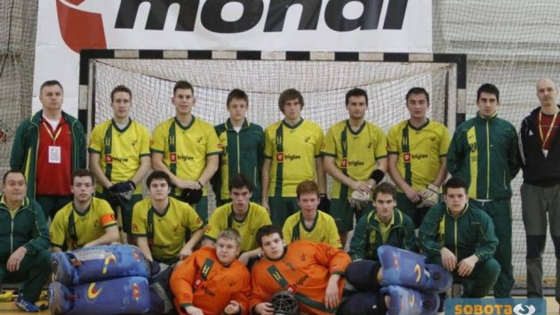 skupinska HK Triglav člani Budimpešta EP 2013.jpg