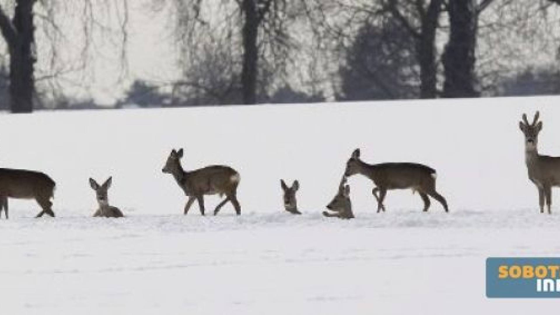 Fotografija je simbolična