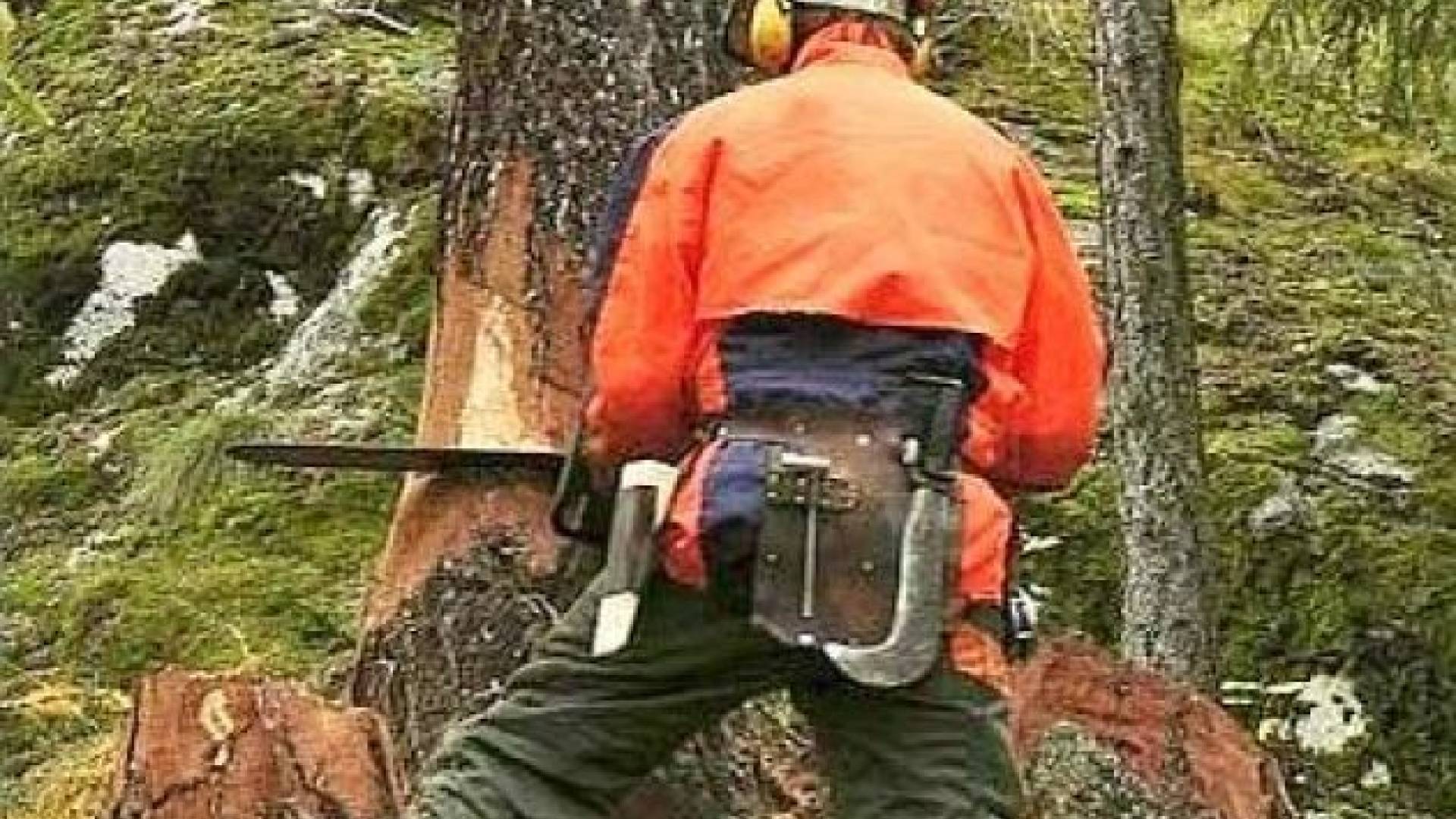 Do nesreče je prišlo tudi v Murski šumi. (fotografija je simbolična)