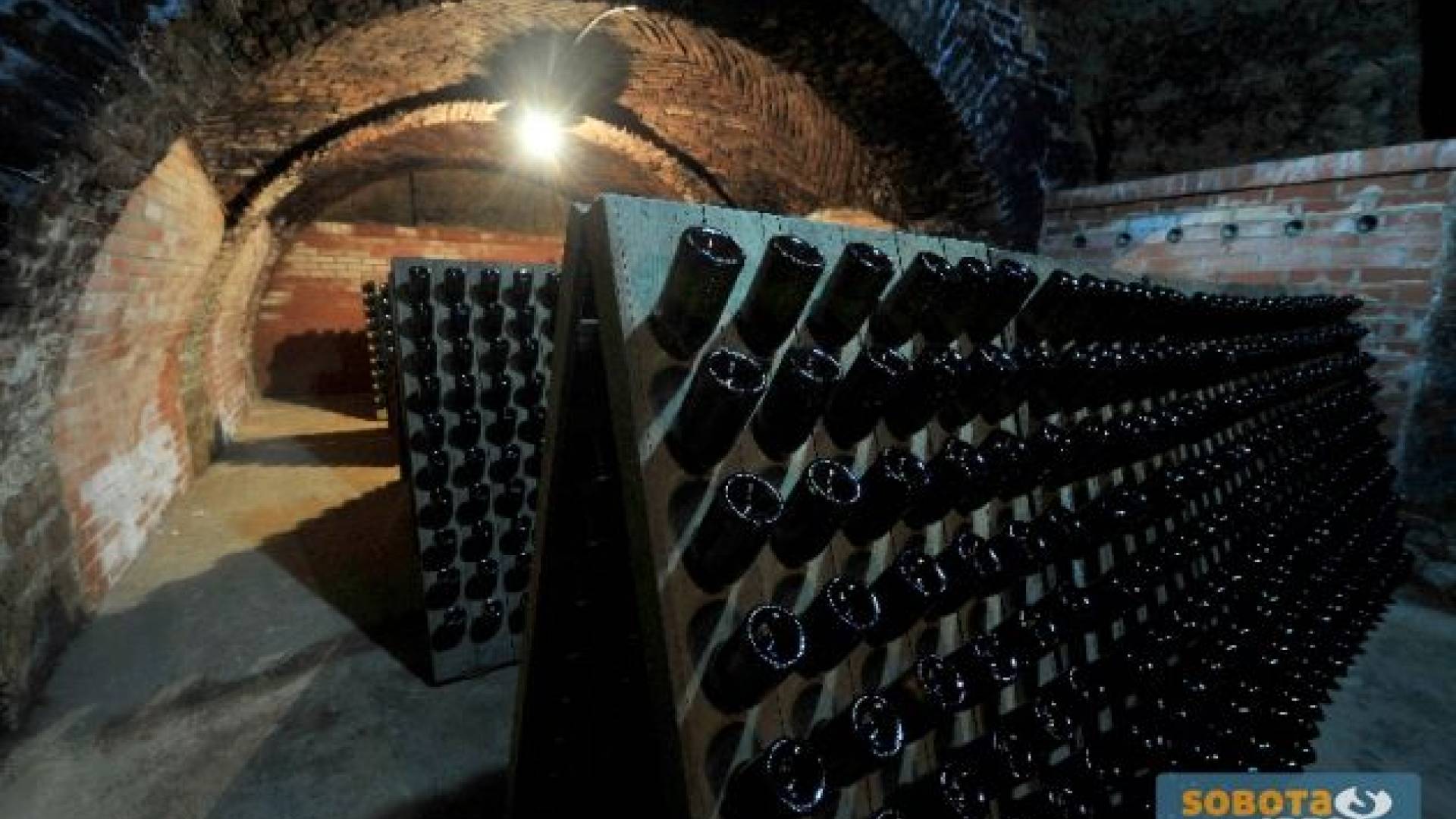 Foto: Radgonske Gorice