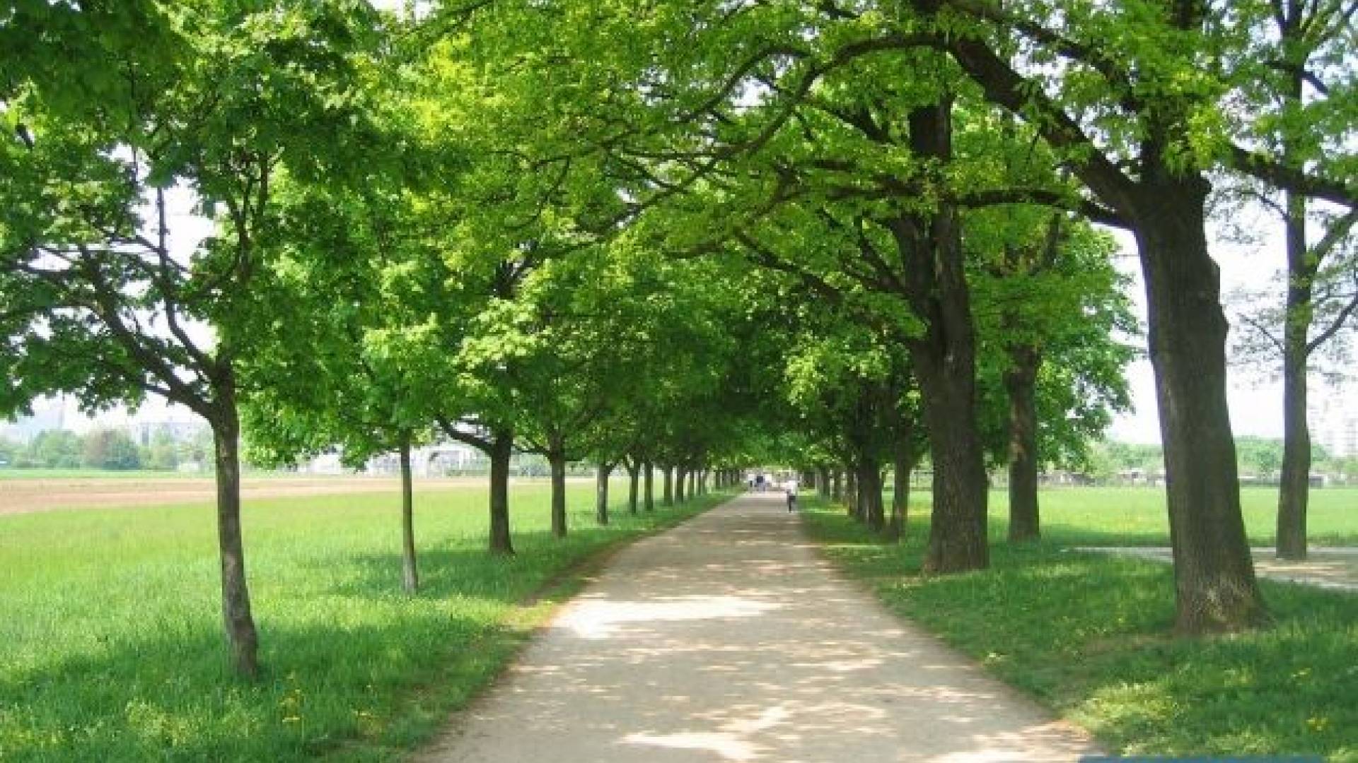 Slika je simbolična