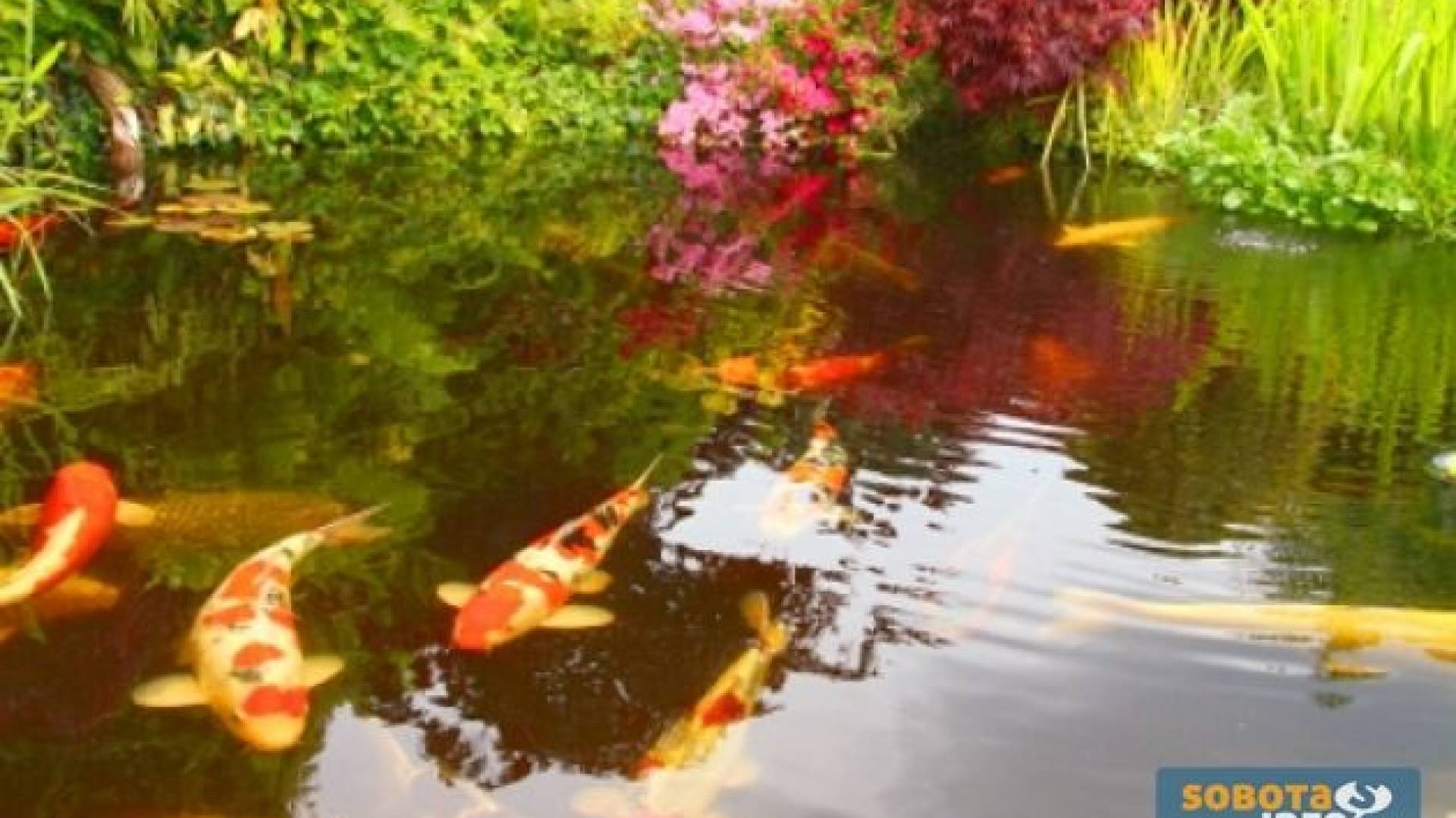 Slika je simbolična