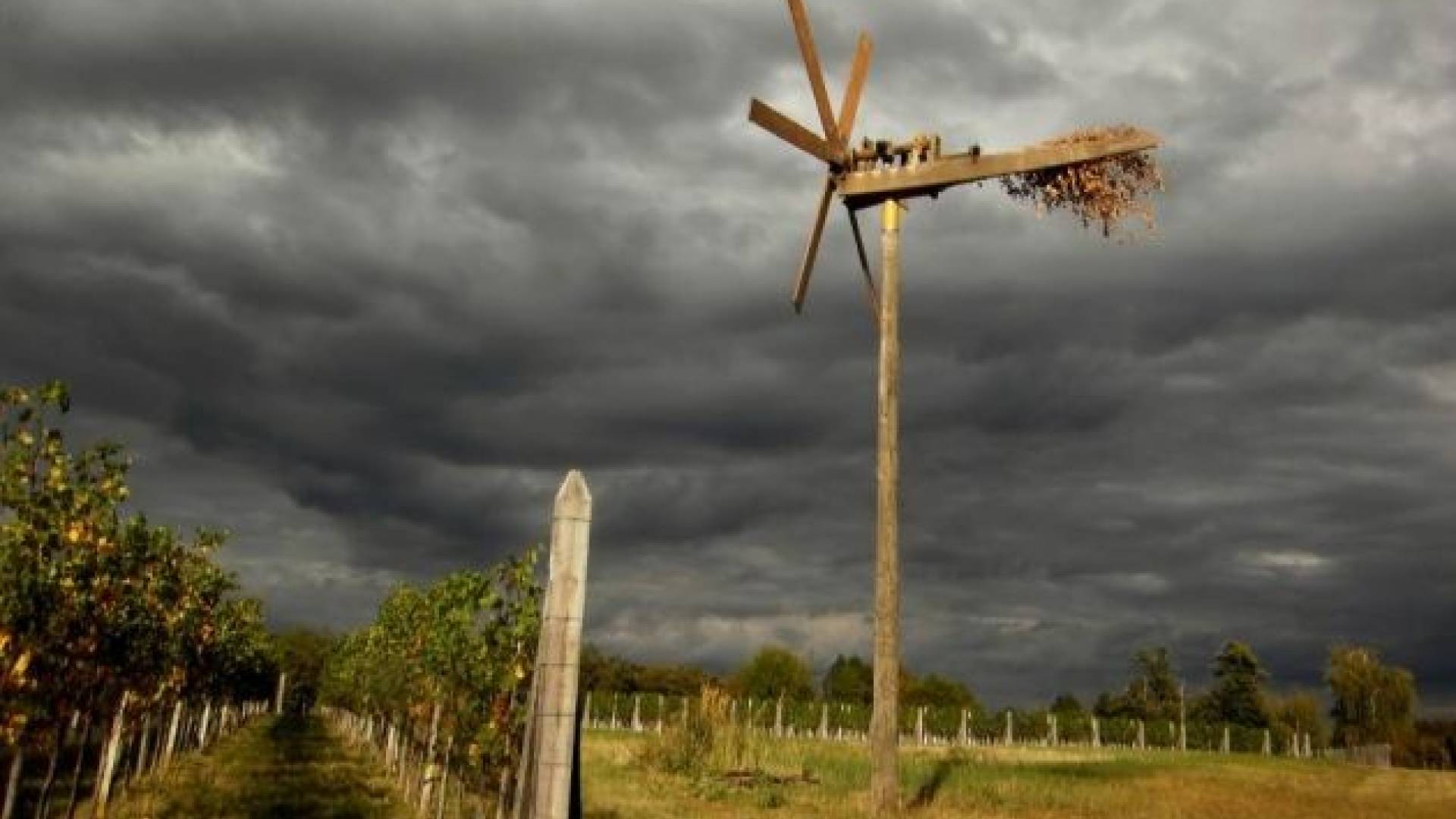 Uroš Podlesek: Klopotec (1. mesto v kategoriji osnovnošolcev)