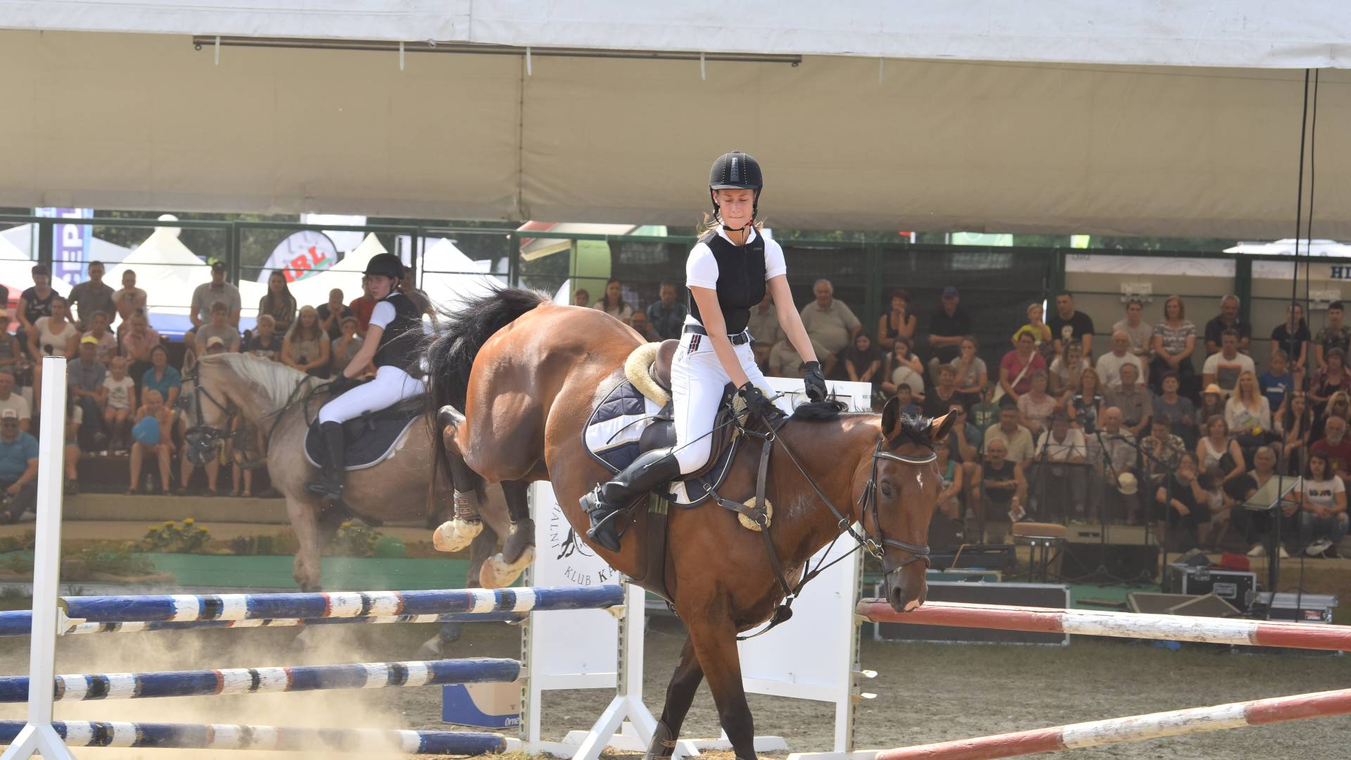 Predstavitve športnega konjeništva.