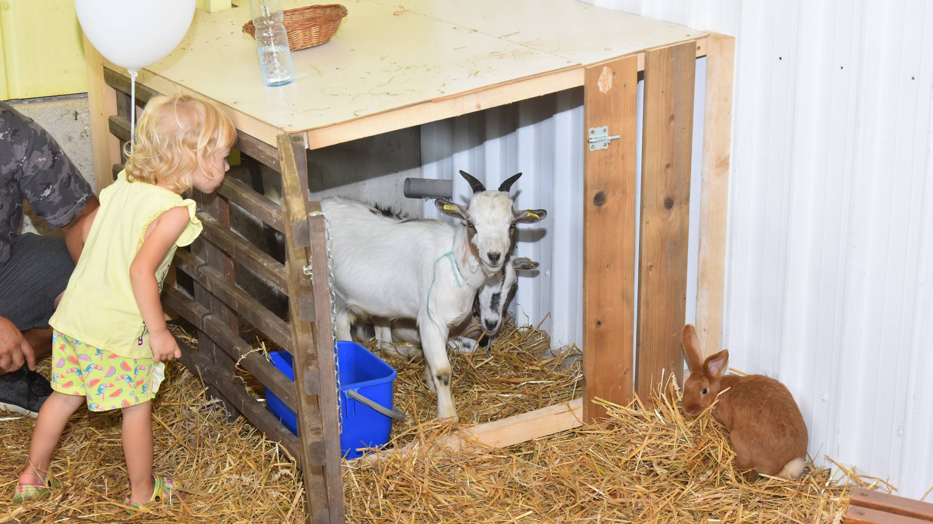 Vrtec malih živali.