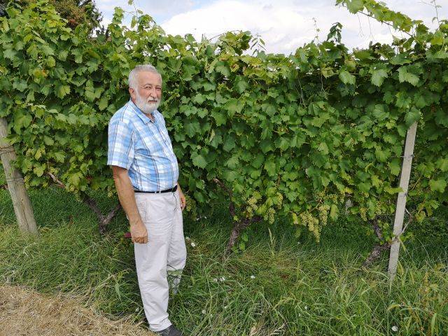 Specialist za vinogradništvo se spominja, da je bila zgodnja trgatev tudi leta 2000, ko smo grozdje trgali 3. septembra.