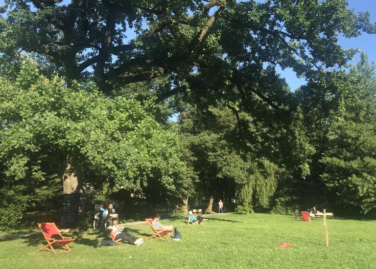 Takole so Ljubljančani ta vikend uživali pod krošnjami. 