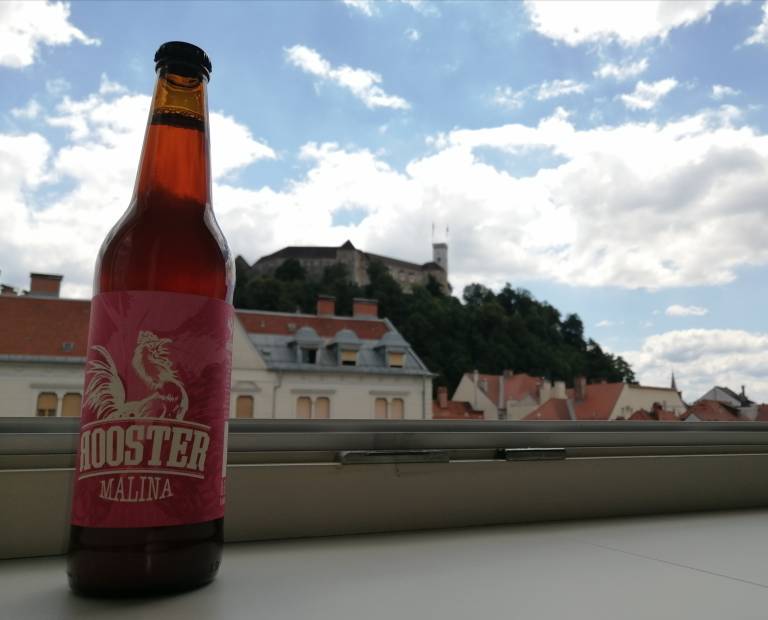 MALINA  je suho, nesladko, nepasterizirano in nefiltrirano pivo, ki vas v vročih poletnih dneh zagotovo ne bo pustilo žejne.