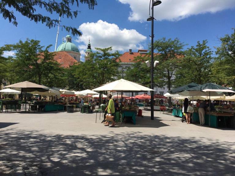 Trenutna situacija ni prizanesla niti ponudnikom na ljubljanski tržnici. Potožijo, da je ljudi na splošno manj, da se pozna, da ni turistov. Rešujejo jih domače stranke, ki redno nakupujejo in jim ostajajo zveste. 
