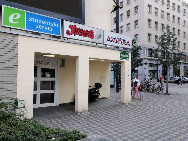 Na servisih opozarjajo, da bo letos manj možno izbirati, še vedno pa se bo dalo najti delo, s katerim si mladi zaslužijo lastni dohodek ter pridobijo delovne izkušnje. 