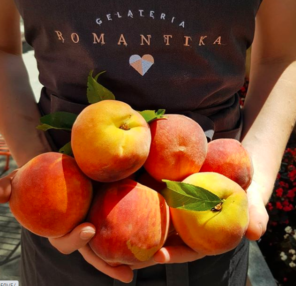 Iz svežih goriških breskev bo nastal breskov sorbet s svežo meto. 