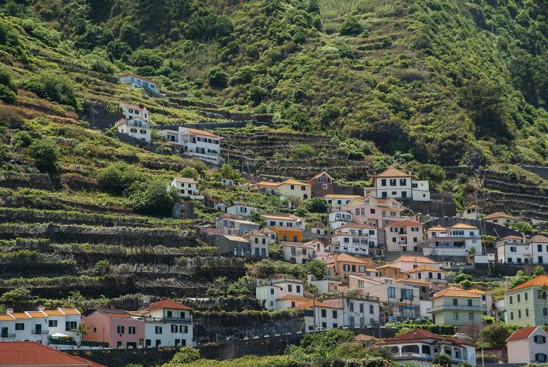 Madeira (Foto: Pixabay)