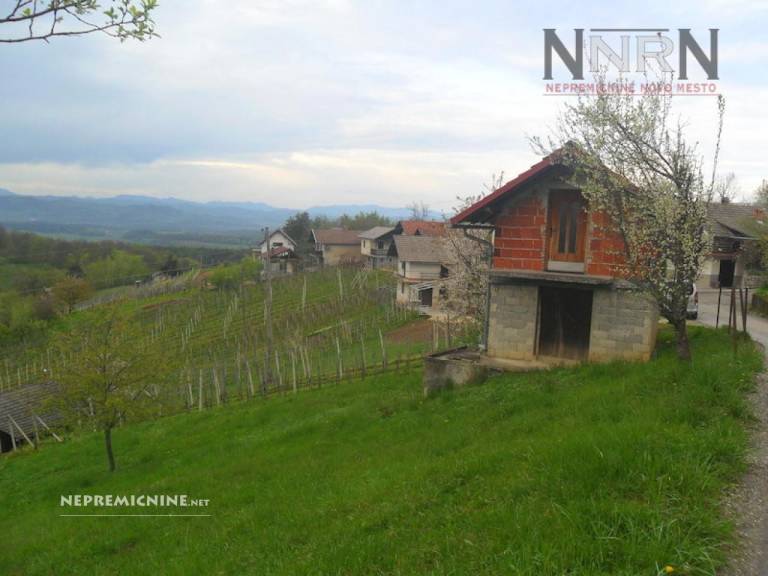 Foto: nepremicnine.net