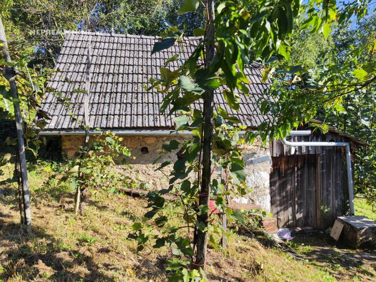 Foto: nepremicnine.net