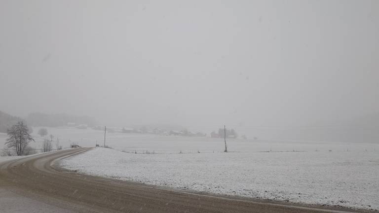 Foto: Ž.K.