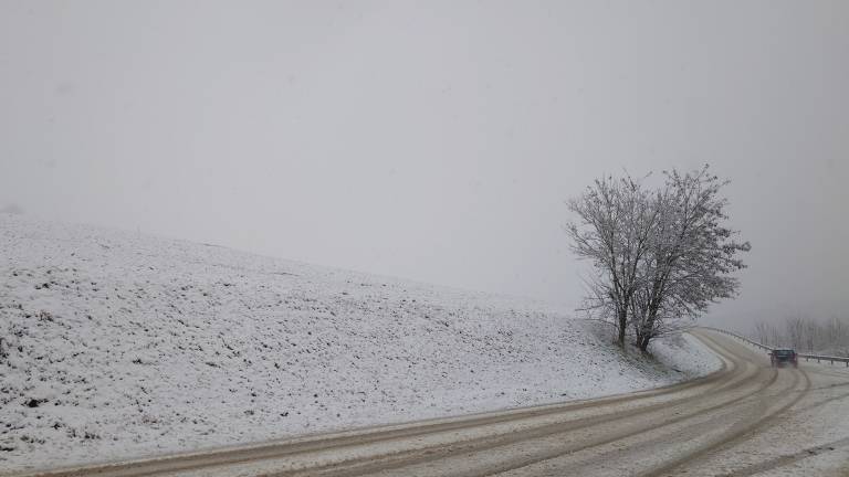 Foto: Ž.K.