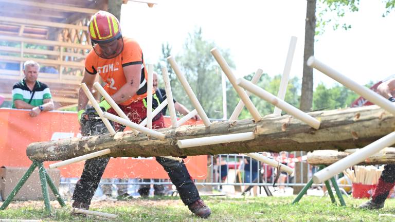 Državno sekaško tekmovanje.