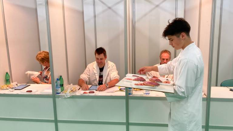 Mednarodno ocenjevanje mesnih izdelkov 2 (002).