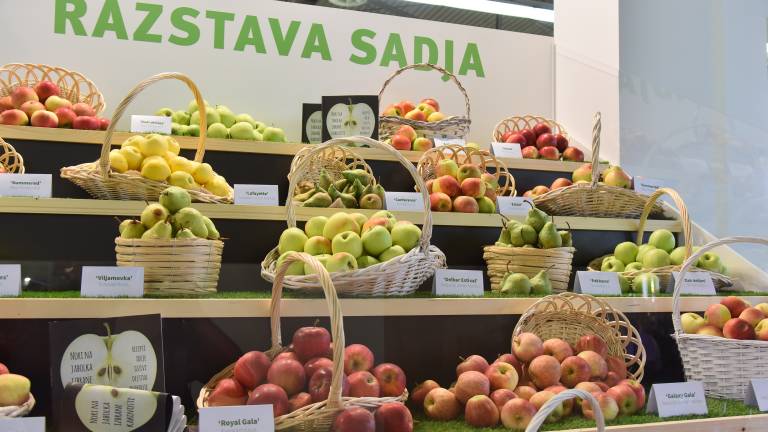 Slovenski sadovi spoznanja.