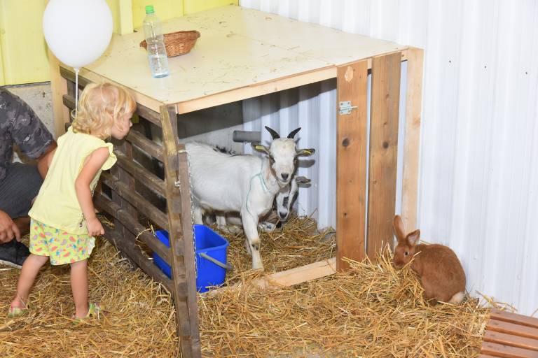 Vrtec malih živali.