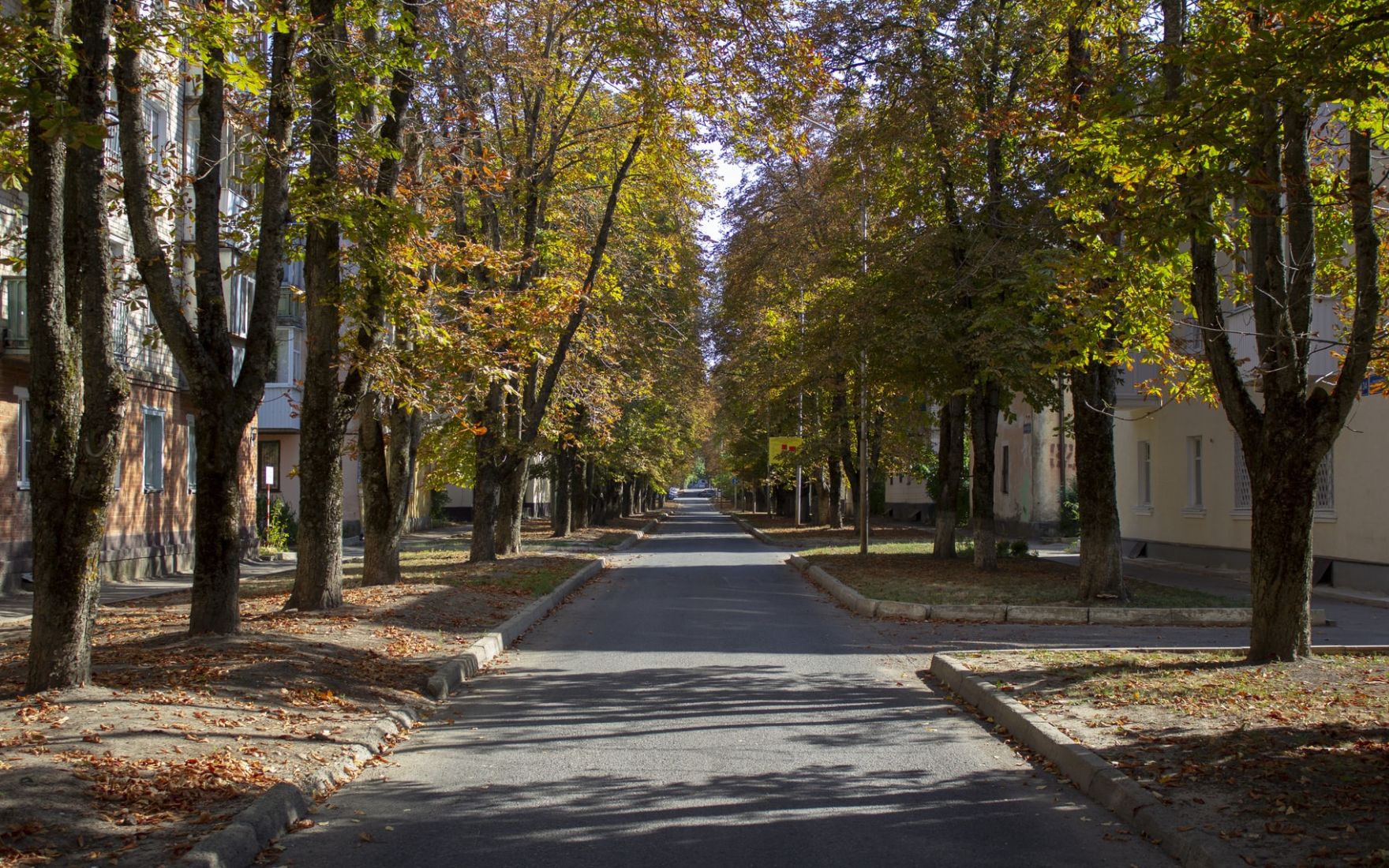 Začela Se Je Oskrba Dreves Na Jesenkovi Poti, Preverite, Do Kdaj Bo ...