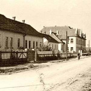 Profile picture for user trg zmage