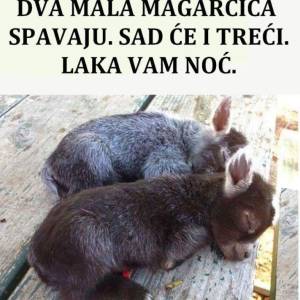 Profile picture for user Bagzivator