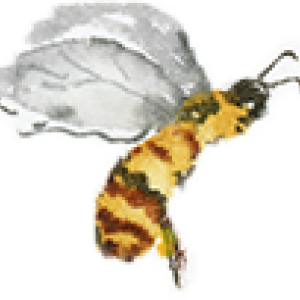 Profile picture for user Lurika1978