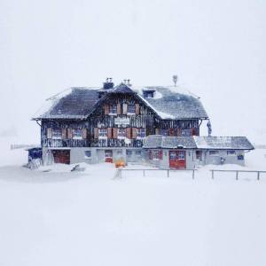 Profile picture for user Roseggerhaus